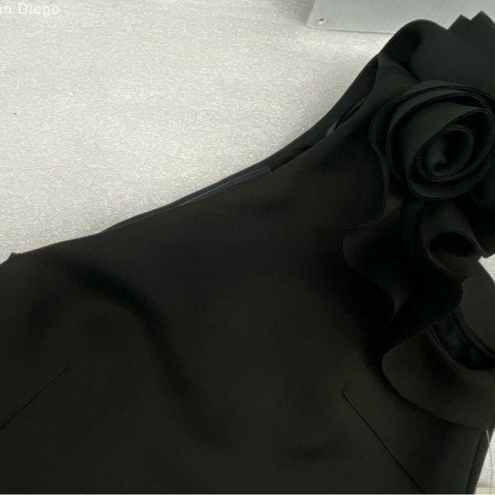 ELIZA J ONE SHOULDER ROSETTE DRESS, NWT, BLACK, Size  8 - Picture 8 of 8